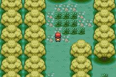 The clearing in Berry Forest where Lostelle is rescued in Pokémon LeafGreen