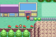 The Joyful Game Corner entrance on Two Island in Pokémon LeafGreen