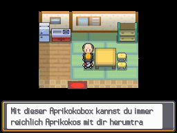 The Apricorn man explaining the Apricorn Box in his Route 30 house in HeartGold