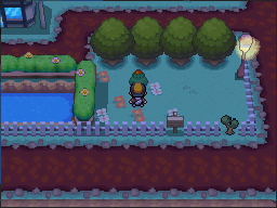 The red-Apricorn tree is in the fenced garden east of the pond in Fuchsia City. in Pokémon HeartGold.