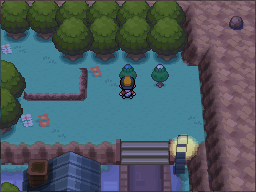 The two trees in northeastern Pewter City give blue Apricorns on the left and white Apricorns on the right. in Pokémon HeartGold.