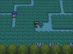 The green-Apricorn tree is in the gap beside the tall grass. in Pokémon HeartGold.
