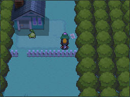 The pink-Apricorn tree is just east of the house and north of the fence on Route 2’s northern section. in Pokémon HeartGold.