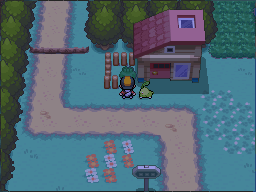 The green-Apricorn tree is just west of the Apricorn man’s house, beside its fence. in Pokémon HeartGold.