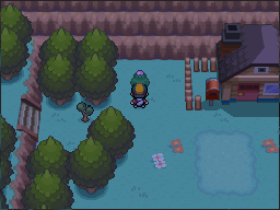 The pink-Apricorn tree is west of Mr in Pokémon HeartGold.