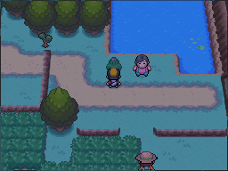 The black-Apricorn tree stands beside the pond, near the woman on the path. in Pokémon HeartGold.