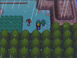 The two small trees by the cliff give pink Apricorns on the left and black Apricorns on the right. in Pokémon HeartGold.