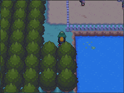 The green-Apricorn tree is on the narrow strip of land west of the pond. in Pokémon HeartGold.