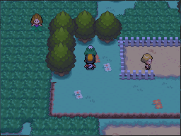 The white-Apricorn tree stands just west of the fenced patch. in Pokémon HeartGold.