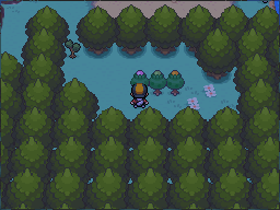 The grove has pink, green and yellow trees from left to right in Pokémon HeartGold.