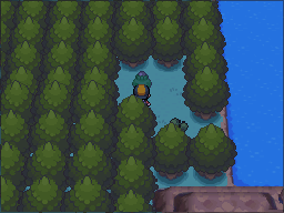 The black-Apricorn tree is on the wooded strip just west of the water. in Pokémon HeartGold.
