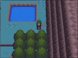The green-Apricorn tree is beside the southern pond. in Pokémon HeartGold.