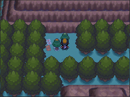 These two trees give green Apricorns at the upper right and yellow Apricorns at the lower left. in Pokémon HeartGold.