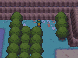 The yellow-Apricorn tree stands among the flowers against the northern cliff. in Pokémon HeartGold.