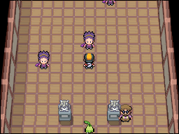 Janine in the Fuchsia City Gym in HeartGold