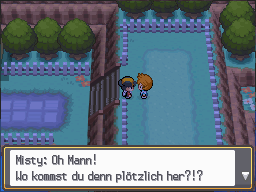 Misty speaking to the player beside the water on Route 25 in HeartGold