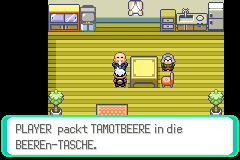 Emerald confirms a Tamato Berry from the Berry Master is added to the bag.