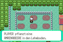 Emerald confirms that a Cheri Berry is being planted on Route 123.