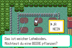Emerald asks whether to plant a Berry in empty fertile soil on Route 123.