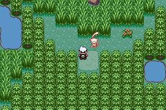 Mew standing on the open ground below the tall grass in the Faraway Island forest, the player just inside the clearing