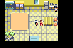 The Cutter standing in his house in Rustboro City