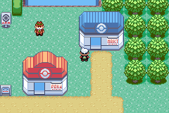 The blue-roofed Petalburg City Poké Mart northeast of the Pokémon Center