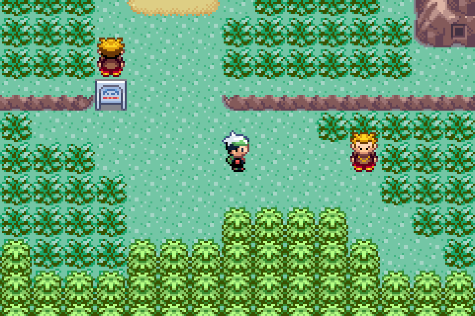 The player standing beside tall grass on Route 118 in Pokémon Emerald