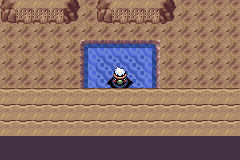 The player surfing in the small pool at the foot of the Sealed Chamber outer room, the rock floor stretching north