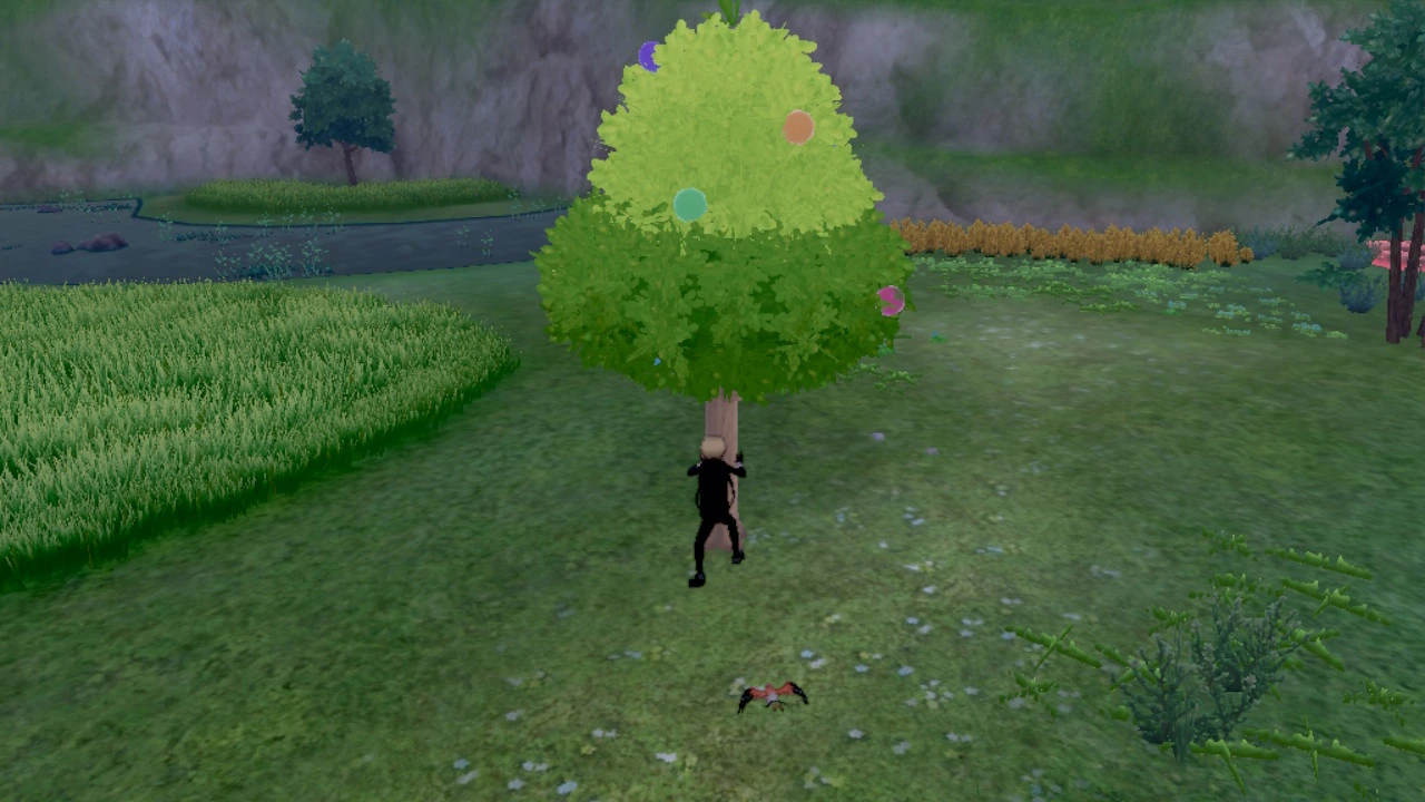 An Apricorn tree on the Isle of Armor in Pokémon Sword