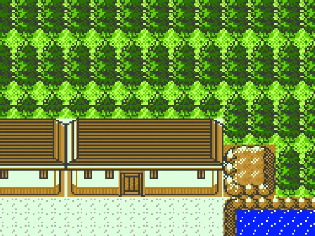 The Tin Tower entrance house in northern Ecruteak City in Crystal, its door circled