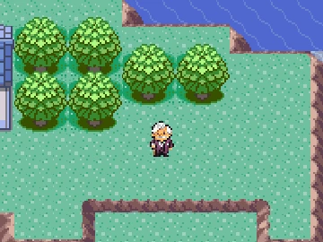 The Berry Gentleman standing among the trees in northern Lilycove City