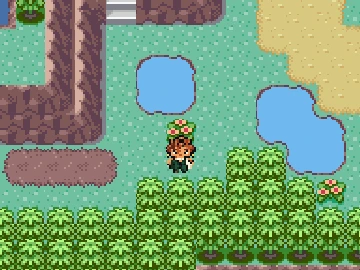 The woman who gives a Trainer-ID Berry, beside the Berry patch on Route 120