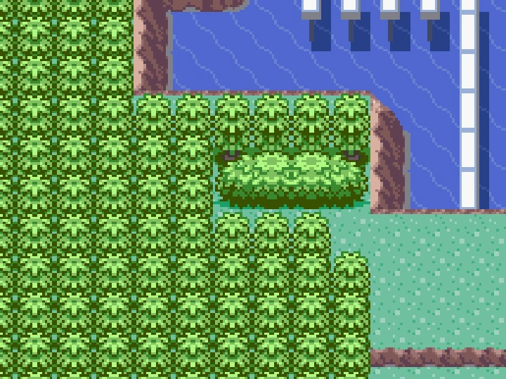 A Secret Power shrub on Route 119